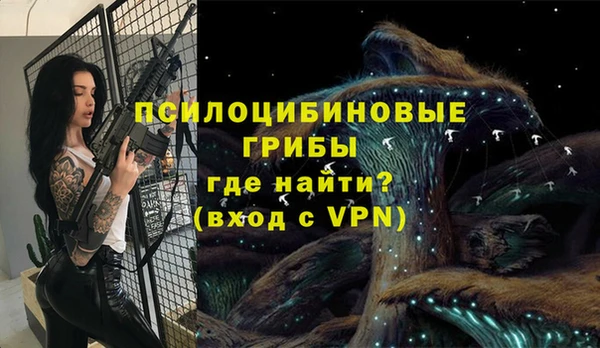 бутират Бородино