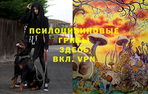 бутират Бородино
