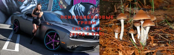 бутират Бородино