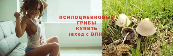 бутират Бородино