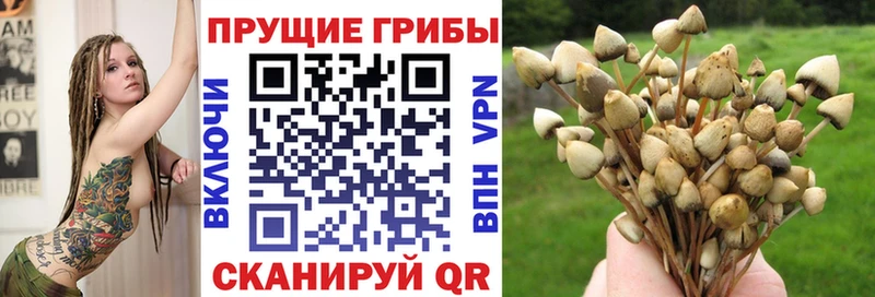 Купить где  Выкса  Галлюциногенные грибы Magic Shrooms 